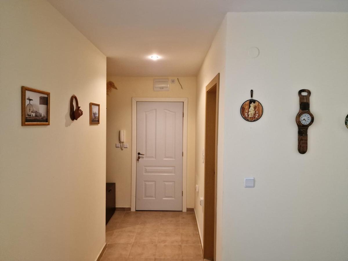 Sloneczny Brzeg Green Fort Noks Studio Bagian luar foto